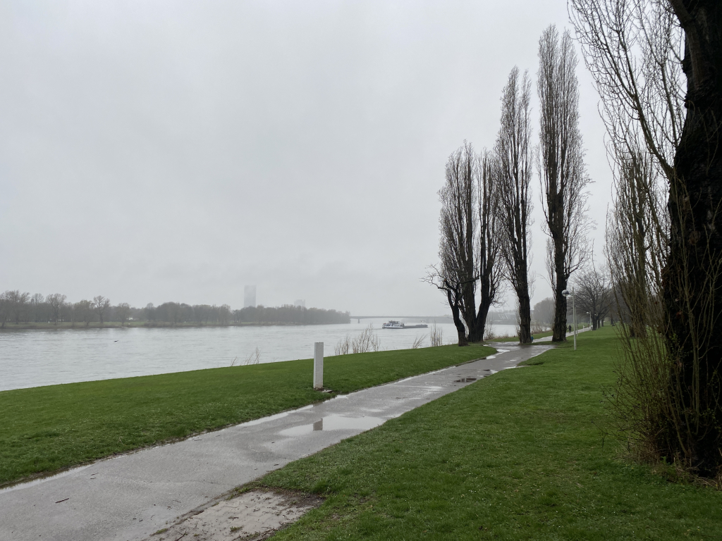 2024-03-13 Rhein 0068 k.JPG